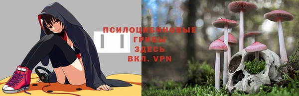 МДМА Корсаков