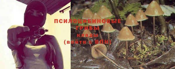 спайс Костерёво