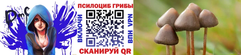 Галлюциногенные грибы ЛСД  Купить  Павловский Посад 